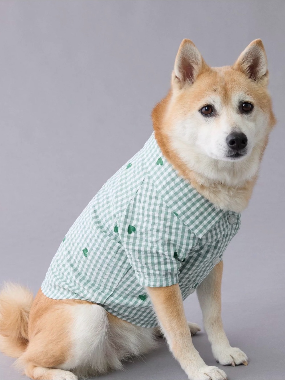 American Eagle Outfitters Green Gingham Heart Dog Shirt XL